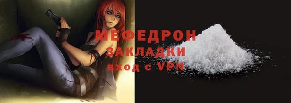 шишки Медвежьегорск