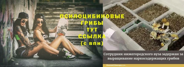 мяу мяу мука Михайлов