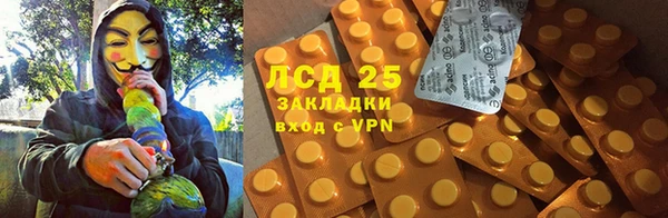 шишки Медвежьегорск