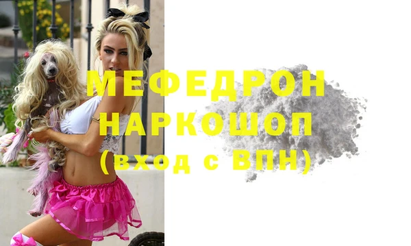 шишки Медвежьегорск