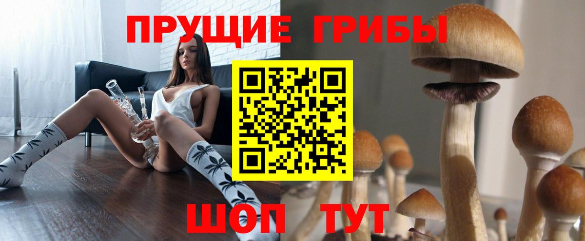 Псилоцибиновые грибы Magic Shrooms  Морозовск  Псилоцибиновые грибы ЛСД 